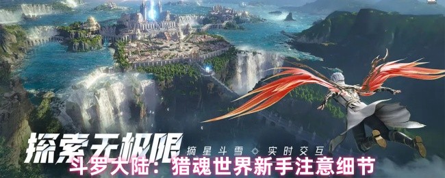 《斗罗大陆：猎魂世界》猎魂世界新手必知的关键要素
