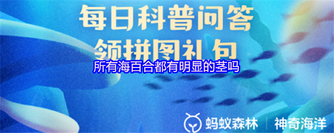 《支付宝》所有海百合是否具有明显的茎？