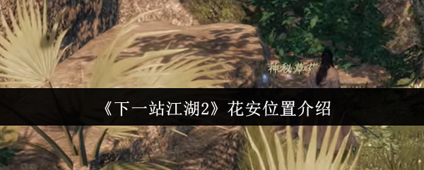 《下一站江湖Ⅱ》花安位置详解