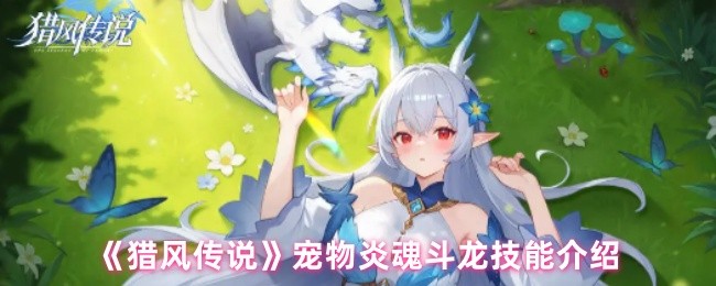 《猎风传说》宠物炎魂斗龙技能解析与玩法指南