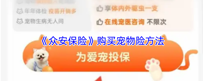 《社保保险计算》购买宠物保险的实用指南
