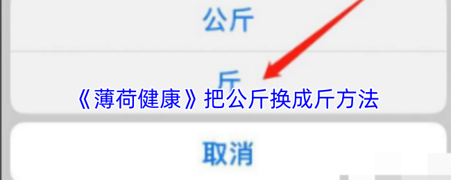 《薄荷健康》公斤换斤的简单方法指南