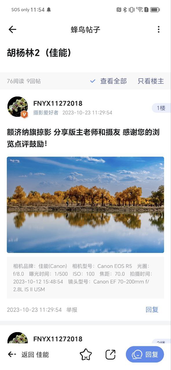蜂鸟摄影